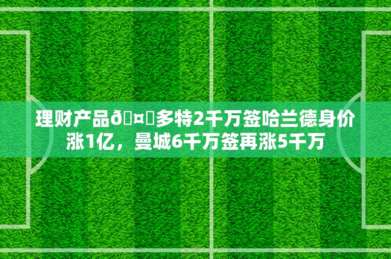 理财产品🤑多特2千万签哈兰德身价涨1亿，曼城6千万签再涨5千万