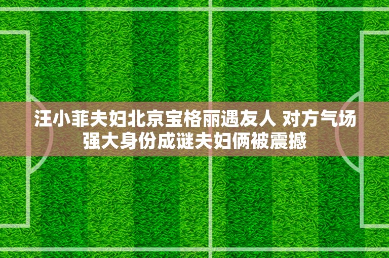 汪小菲夫妇北京宝格丽遇友人 对方气场强大身份成谜夫妇俩被震撼