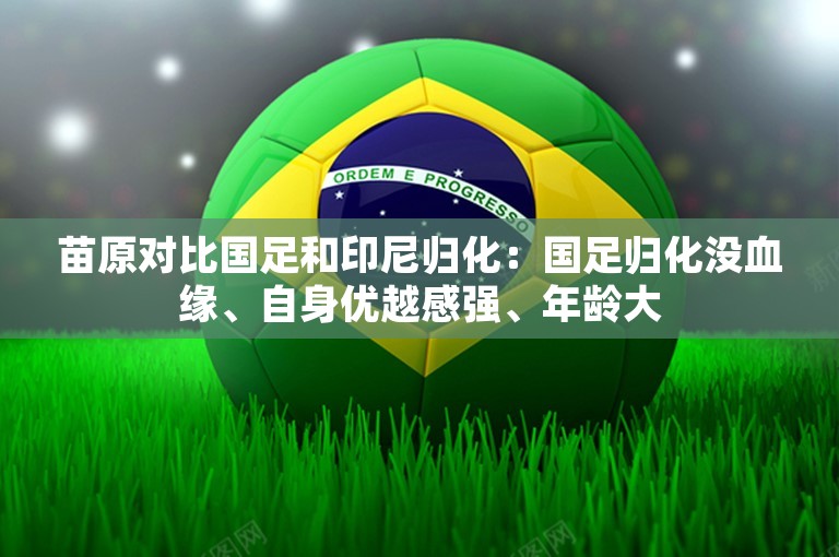 苗原对比国足和印尼归化：国足归化没血缘、自身优越感强、年龄大