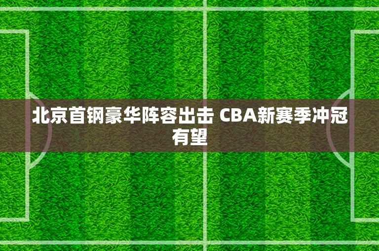 北京首钢豪华阵容出击 CBA新赛季冲冠有望