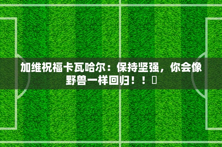 加维祝福卡瓦哈尔：保持坚强，你会像野兽一样回归！！❤