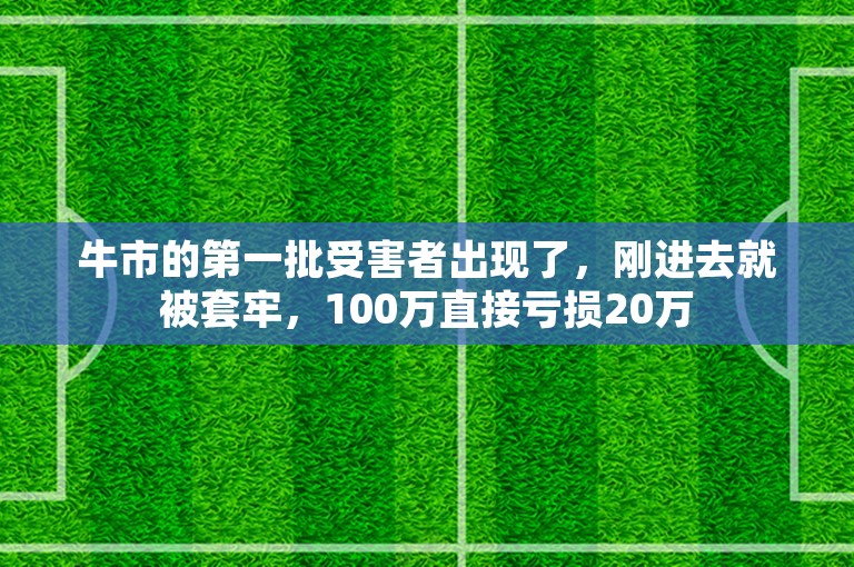 牛市的第一批受害者出现了，刚进去就被套牢，100万直接亏损20万