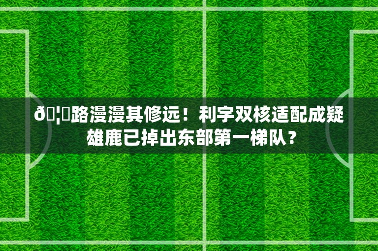 🦌路漫漫其修远！利字双核适配成疑 雄鹿已掉出东部第一梯队？