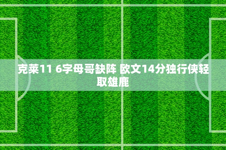 克莱11 6字母哥缺阵 欧文14分独行侠轻取雄鹿