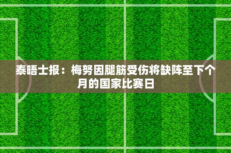 泰晤士报：梅努因腿筋受伤将缺阵至下个月的国家比赛日