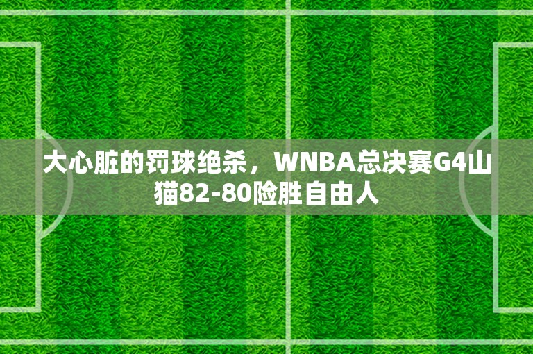 大心脏的罚球绝杀，WNBA总决赛G4山猫82-80险胜自由人