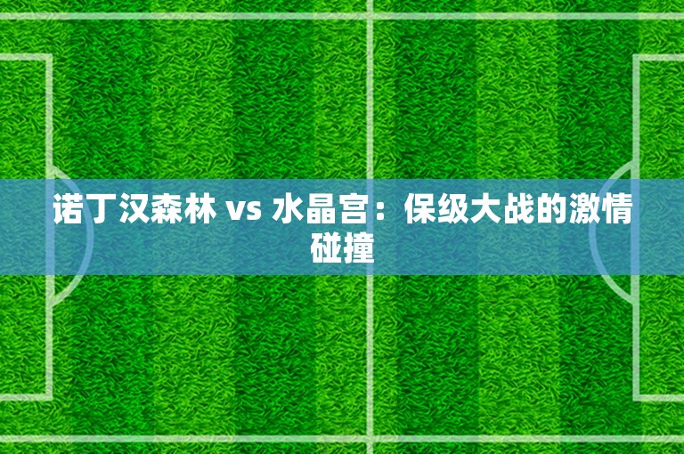 诺丁汉森林 vs 水晶宫：保级大战的激情碰撞