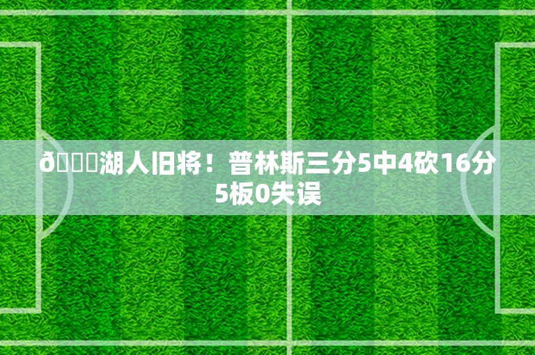 💜湖人旧将！普林斯三分5中4砍16分5板0失误