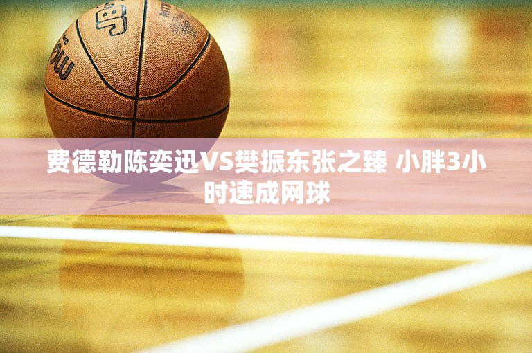 费德勒陈奕迅VS樊振东张之臻 小胖3小时速成网球