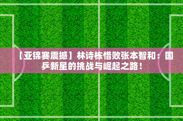 【亚锦赛震撼】林诗栋惜败张本智和：国乒新星的挑战与崛起之路！