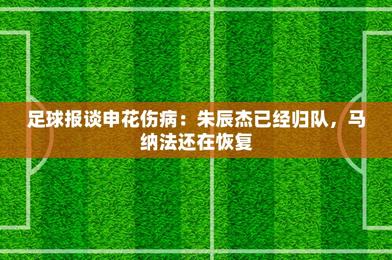 足球报谈申花伤病：朱辰杰已经归队，马纳法还在恢复