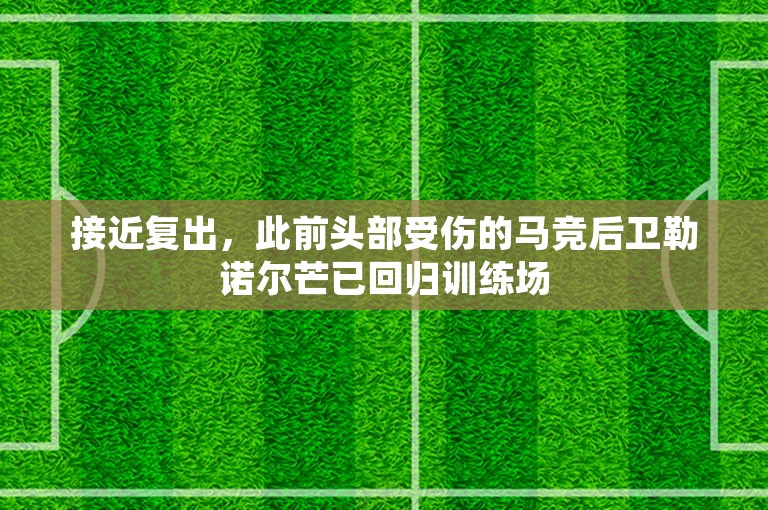 接近复出，此前头部受伤的马竞后卫勒诺尔芒已回归训练场