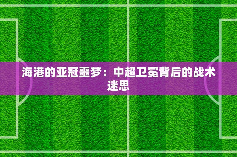 海港的亚冠噩梦：中超卫冕背后的战术迷思