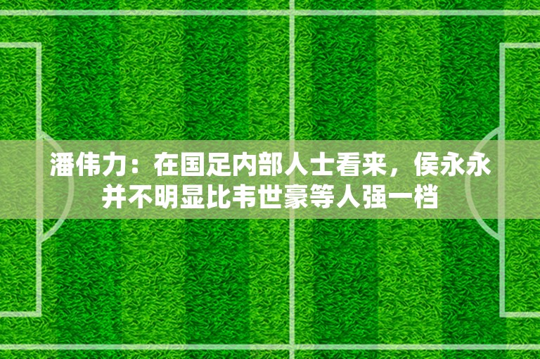 潘伟力：在国足内部人士看来，侯永永并不明显比韦世豪等人强一档