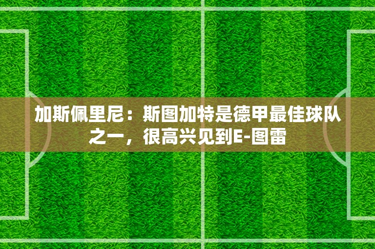 加斯佩里尼：斯图加特是德甲最佳球队之一，很高兴见到E-图雷