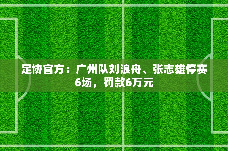 足协官方：广州队刘浪舟、张志雄停赛6场，罚款6万元