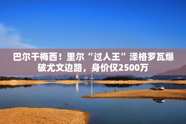 巴尔干梅西！里尔“过人王”泽格罗瓦爆破尤文边路，身价仅2500万