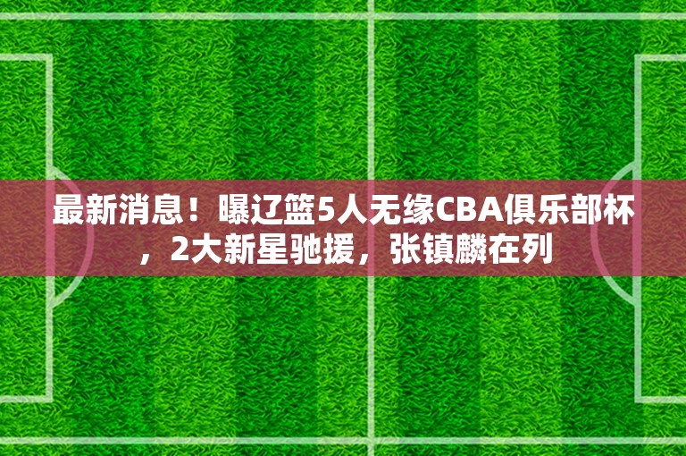 最新消息！曝辽篮5人无缘CBA俱乐部杯，2大新星驰援，张镇麟在列