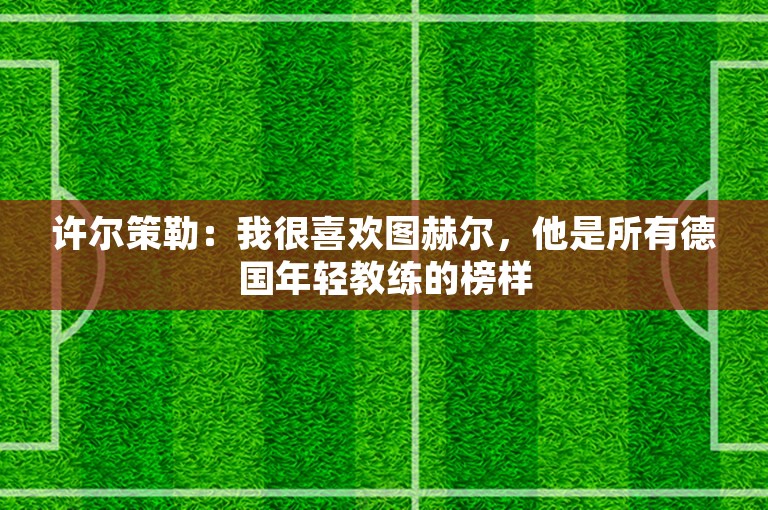 许尔策勒：我很喜欢图赫尔，他是所有德国年轻教练的榜样