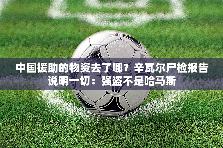 中国援助的物资去了哪？辛瓦尔尸检报告说明一切：强盗不是哈马斯