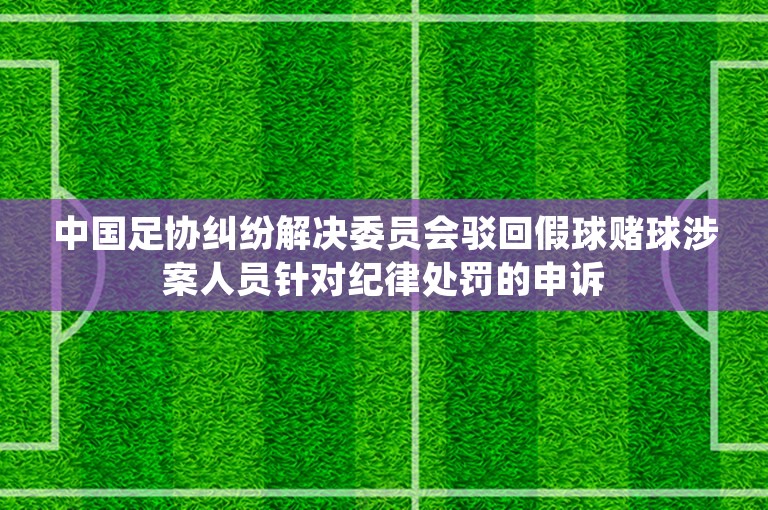 中国足协纠纷解决委员会驳回假球赌球涉案人员针对纪律处罚的申诉