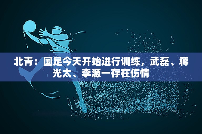 北青：国足今天开始进行训练，武磊、蒋光太、李源一存在伤情