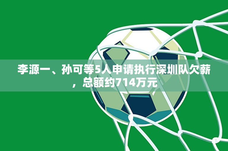 李源一、孙可等5人申请执行深圳队欠薪，总额约714万元