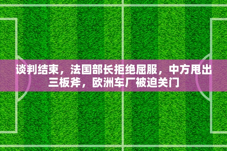 谈判结束，法国部长拒绝屈服，中方甩出三板斧，欧洲车厂被迫关门