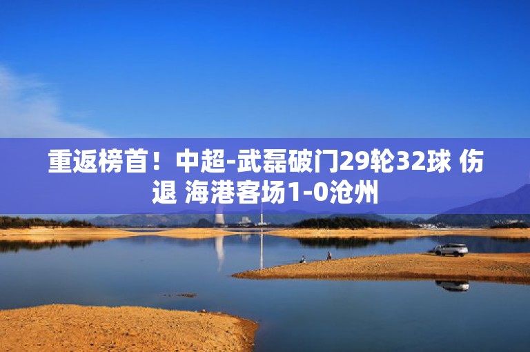 重返榜首！中超-武磊破门29轮32球 伤退 海港客场1-0沧州