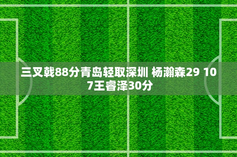 三叉戟88分青岛轻取深圳 杨瀚森29 10 7王睿泽30分