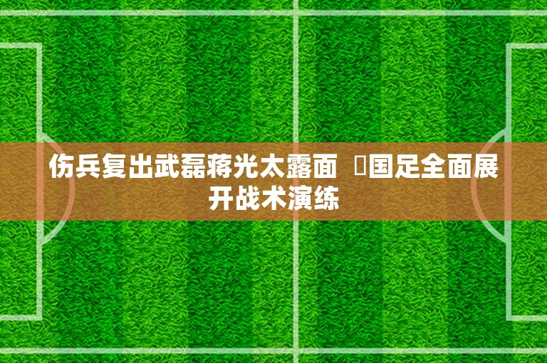 伤兵复出武磊蒋光太露面  ​国足全面展开战术演练