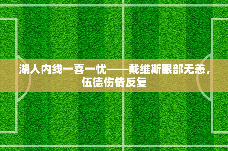 湖人内线一喜一忧——戴维斯眼部无恙，伍德伤情反复