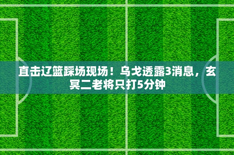 直击辽篮踩场现场！乌戈透露3消息，玄冥二老将只打5分钟