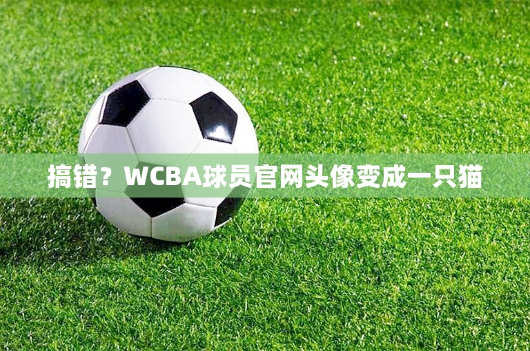 搞错？WCBA球员官网头像变成一只猫