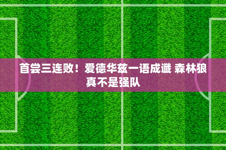 首尝三连败！爱德华兹一语成谶 森林狼真不是强队