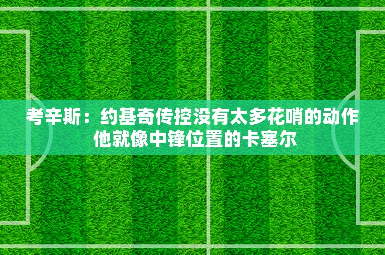 考辛斯：约基奇传控没有太多花哨的动作 他就像中锋位置的卡塞尔