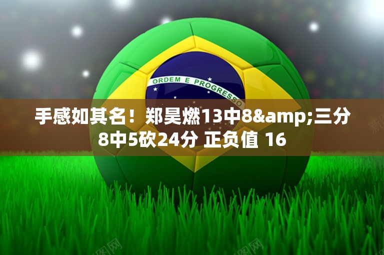 手感如其名！郑昊燃13中8&三分8中5砍24分 正负值 16